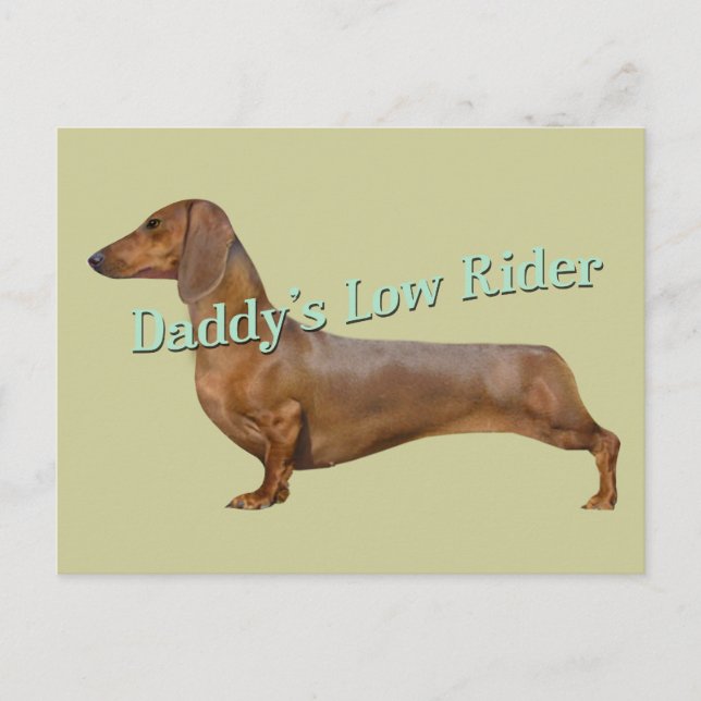 Dachshund Pappor Low rider Gifts Vykort (Framsida)