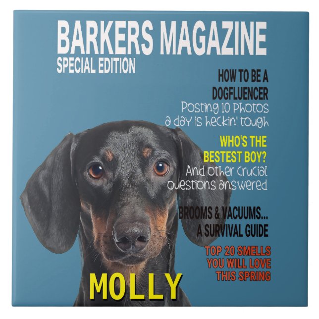 Dachshund Parody Magazine Cover Kakelplatta (Framsidan)