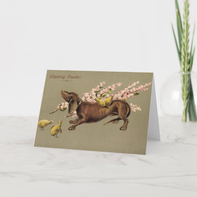 Dachshund Påsk Card - Glæ delig Paaske Helgkort (Framsida)