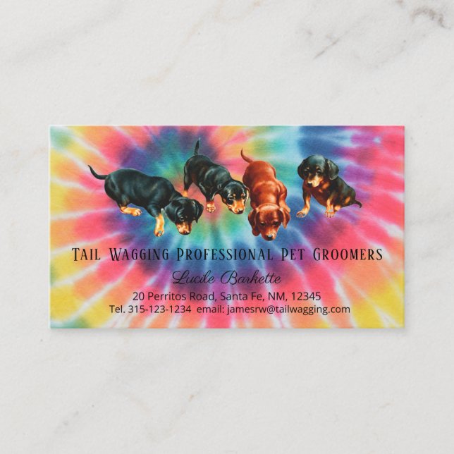 Dachshund Pet Grooming Tie Dyed Rainbow Pride Visitkort (Framsida)