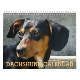 Dachshund Photo Calendar Kalender