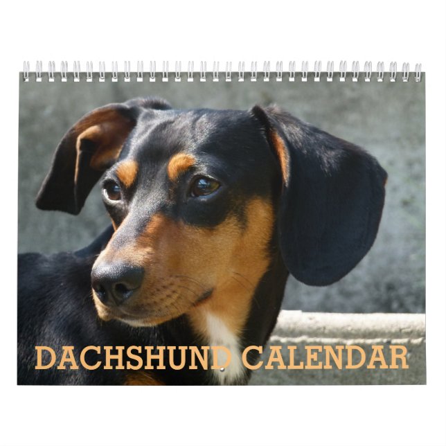 Dachshund Photo Calendar Kalender (Omslag)