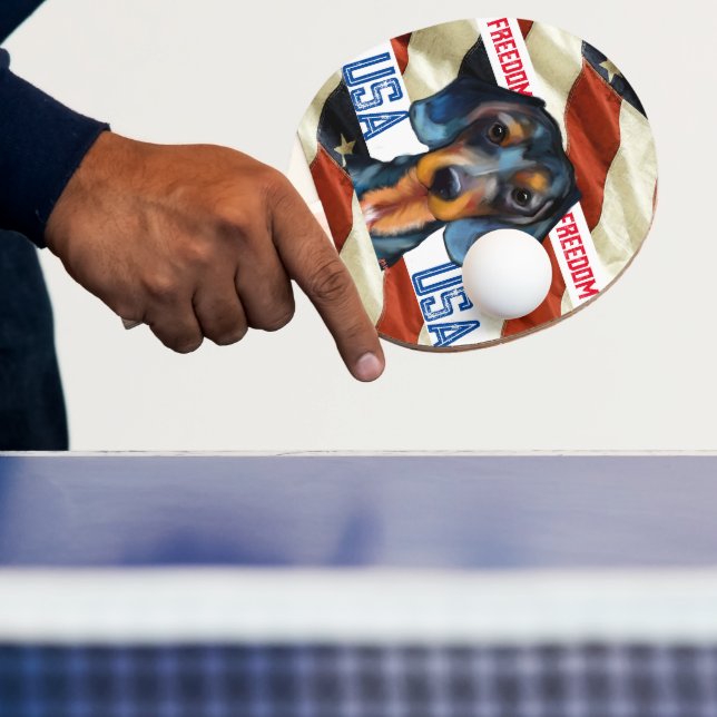 Dachshund      pingisracket (Insitu)