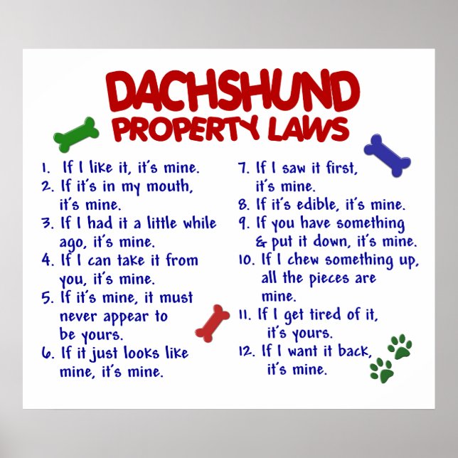 DACHSHUND PL2 POSTER (Framsidan)