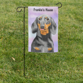 Dachshund Porträtt