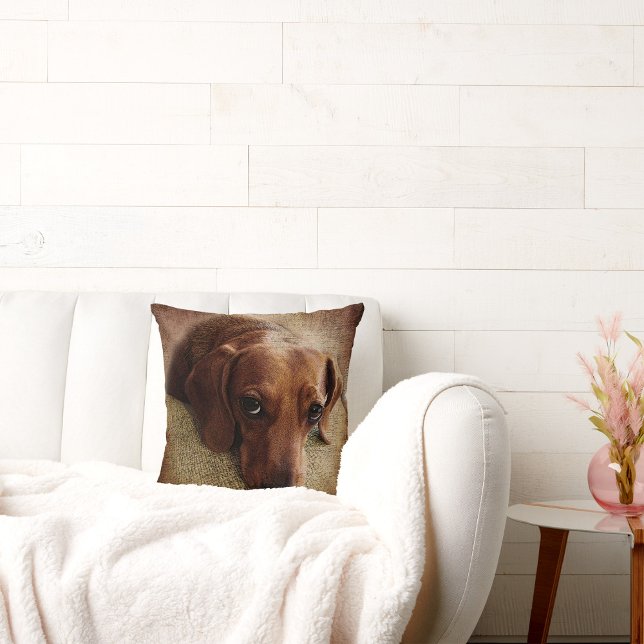 Dachshund Porträtt Dekorativ kudde (Skapare uppladdad)