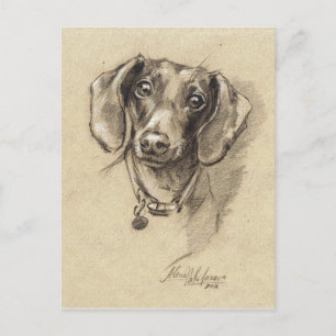 Dachshund porträtt vykort