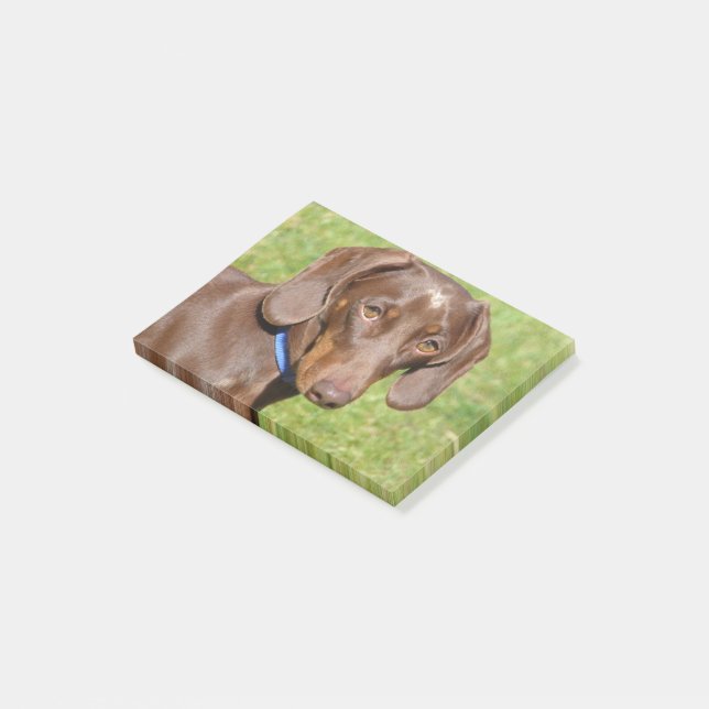 Dachshund Post-it Block (Vinklad)
