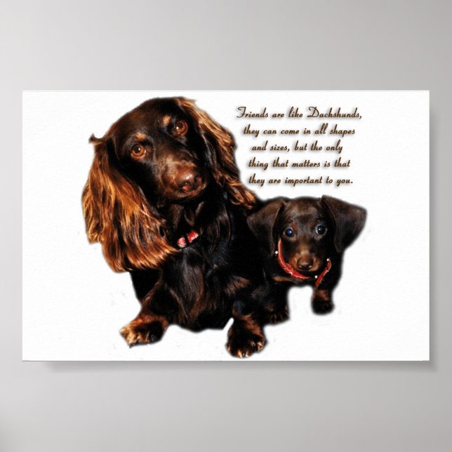 Dachshund Poster (Framsidan)