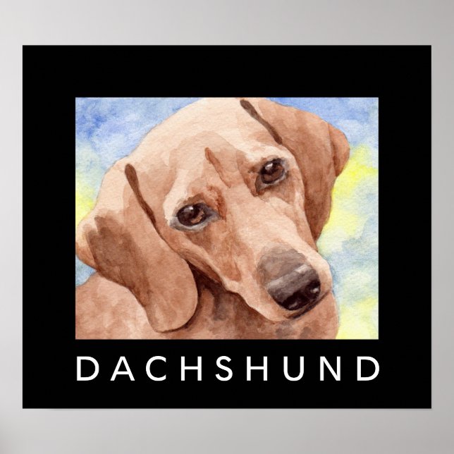 Dachshund Poster (Framsidan)