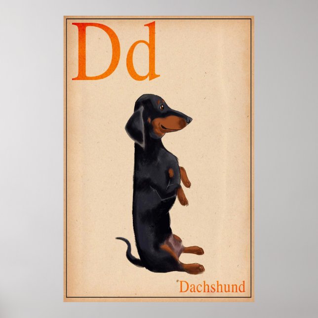 Dachshund Poster (Framsidan)