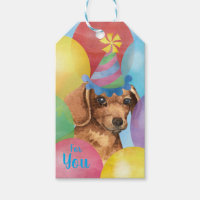 Dachshund