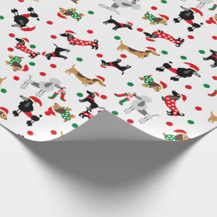 Dachshund Pudel Dobie Hund Puppy Bright jul Presentpapper
