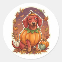 Dachshund Pumpakostym Halloween-dekal