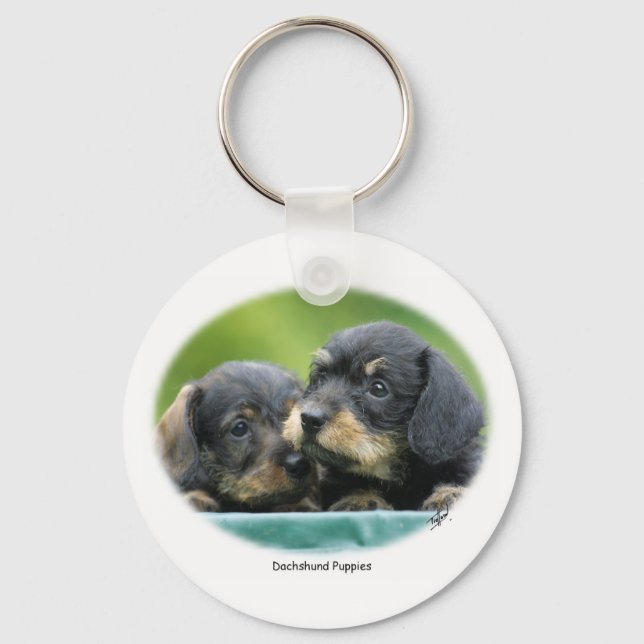 Dachshund Puppies 9W027D-093 Nyckelring (Framsida)
