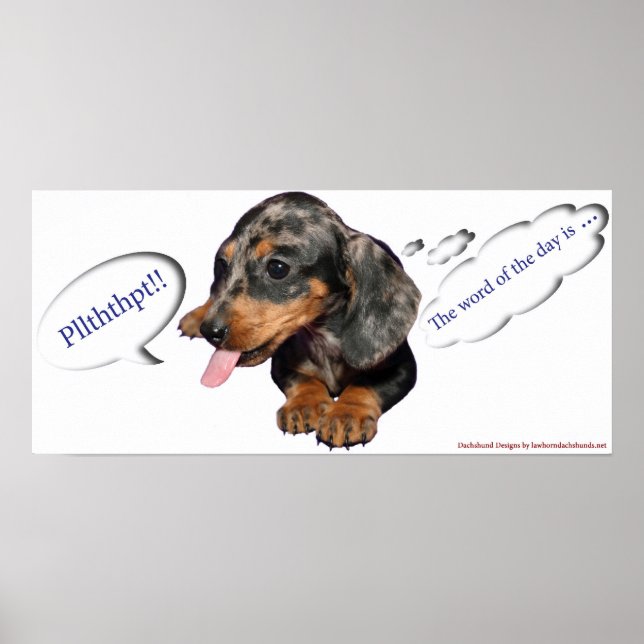 Dachshund Puppy Attitude Poster (Framsidan)