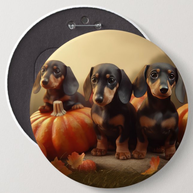 Dachshund Puppy Autumn Delight Pumpkin Knapp (Framsida & baksida)