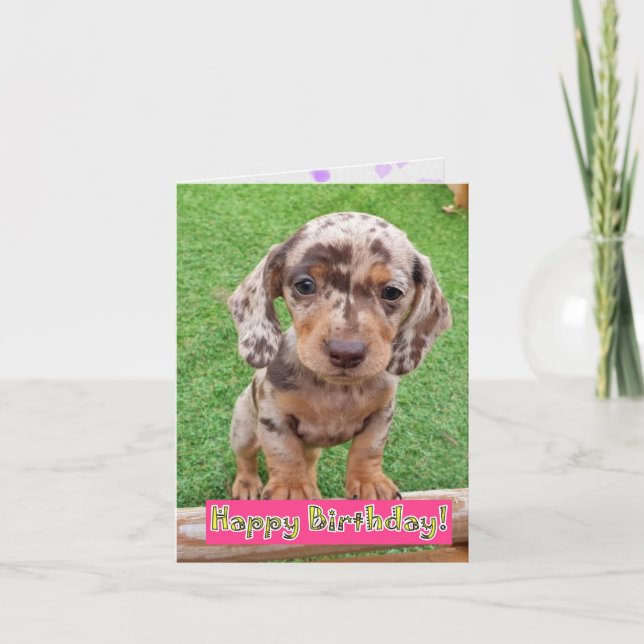 Dachshund Puppy Birthday Card Kort (Framsida)