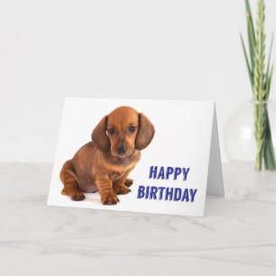 Dachshund Puppy Birthday Card Kort