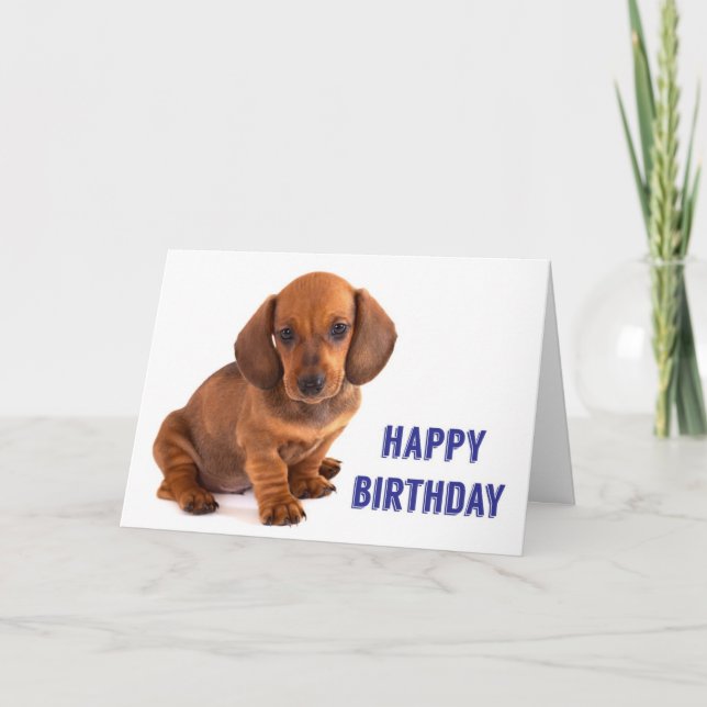 Dachshund Puppy Birthday Card Kort (Framsida)