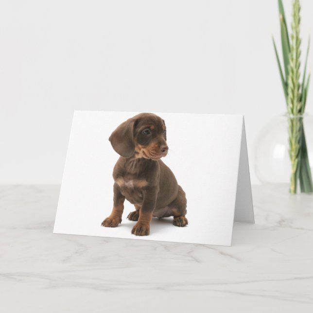Dachshund Puppy Greeting Card Kort (Framsida)