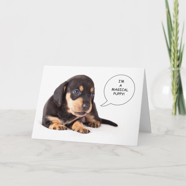 Dachshund Puppy Hämta brunstkort Kort (Framsida)