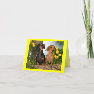 Dachshund Puppy Hund Blankt anteckningskort