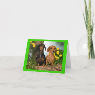 Dachshund Puppy Hund Blankt anteckningskort