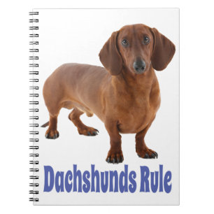 Dachshund Puppy Hund Blue Kärlek Anteckningsbok