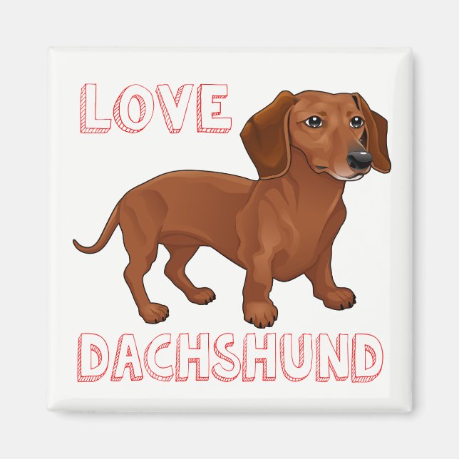Dachshund Puppy Hund Red Kärlek Magnet (Framsidan)