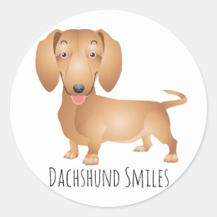 Dachshund Puppy Hund Smiles, Hej, Thinking Runt Klistermärke