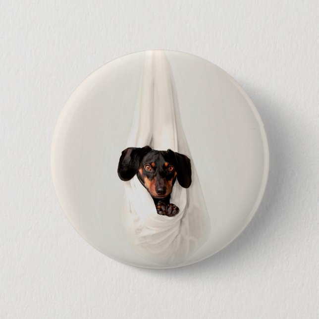Dachshund Puppy in Hammock Cute Adsible Hund Knapp (Framsida)