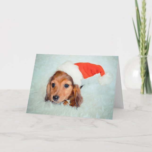 Dachshund Puppy Jul Helgkort (Framsida)