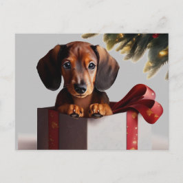 Dachshund Puppy jul - överraskning Vykort