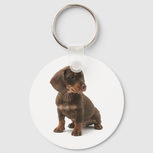 Dachshund Puppy Keychain Nyckelring (Framsida)