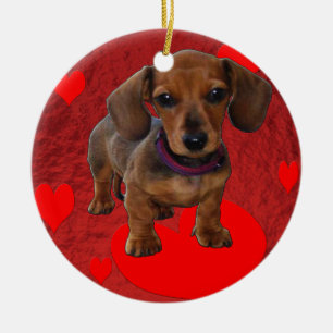 DACHSHUND Puppy med Hearts Julgransprydnad Keramik