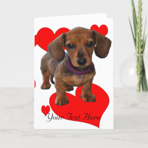 DACHSHUND Puppy med Hearts Kort