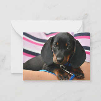 Dachshund Puppy Note Card - Flat Note Card Anteckningskort