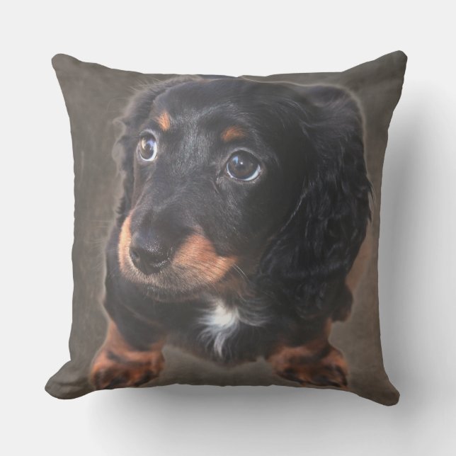 Dachshund Puppy Photo Anpassningsbar Pillow Kudde (Framsida)