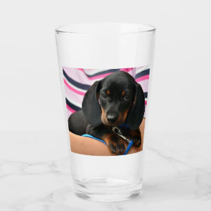 Dachshund-puppy söt glaskopp