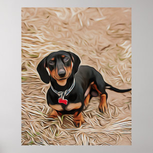 Dachshund Puppy tittar på kameran Poster