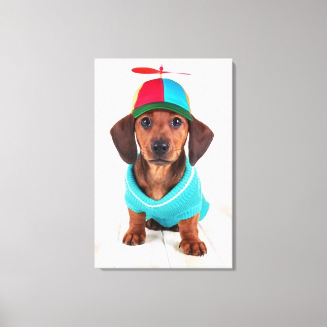 Dachshund Puppy Wearing Propeller Hat Canvastryck (Framsida)