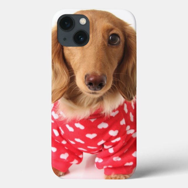 Dachshund Puppy Wearing Valentine's Outfit (Baksida)