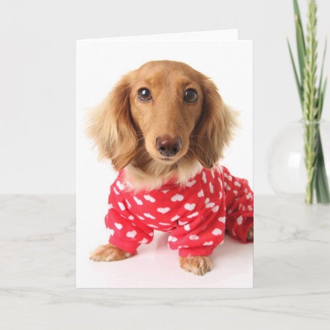 Dachshund Puppy Wearing Valentine's Outfit Helgkort (Framsida)