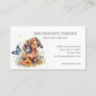 Dachshund Puppys Hund Breeder Visitkort
