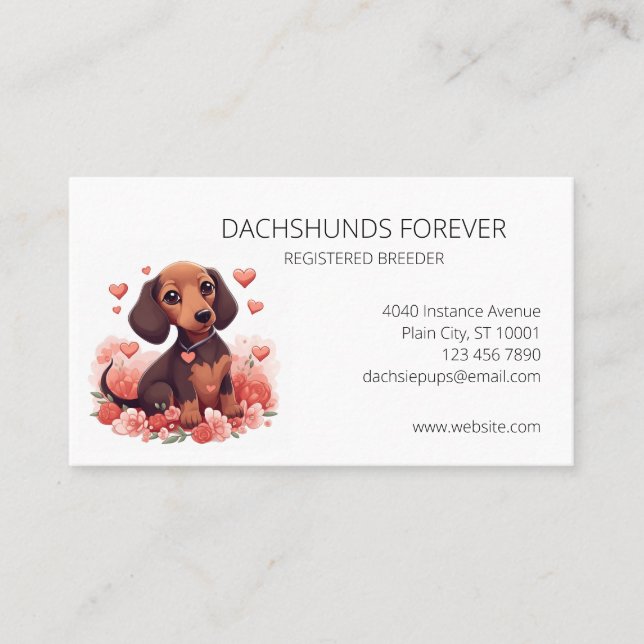 Dachshund Puppys Hund Breeder Visitkort (Framsida)
