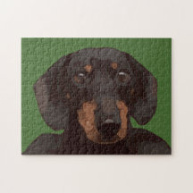 DACHSHUND