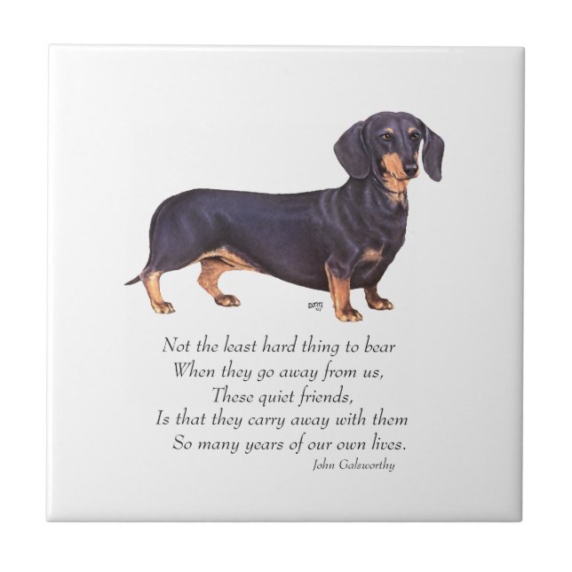 Dachshund Rainbow Bridge Kakelplatta (Framsidan)