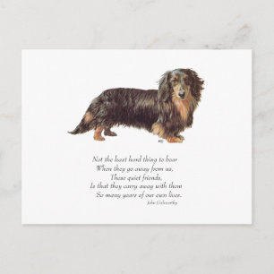 Dachshund Rainbow Bridge Vykort