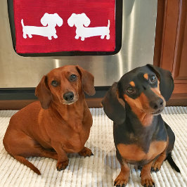 Dachshund Red Dish Towel for Wiener Hundälskares Kökshandduk